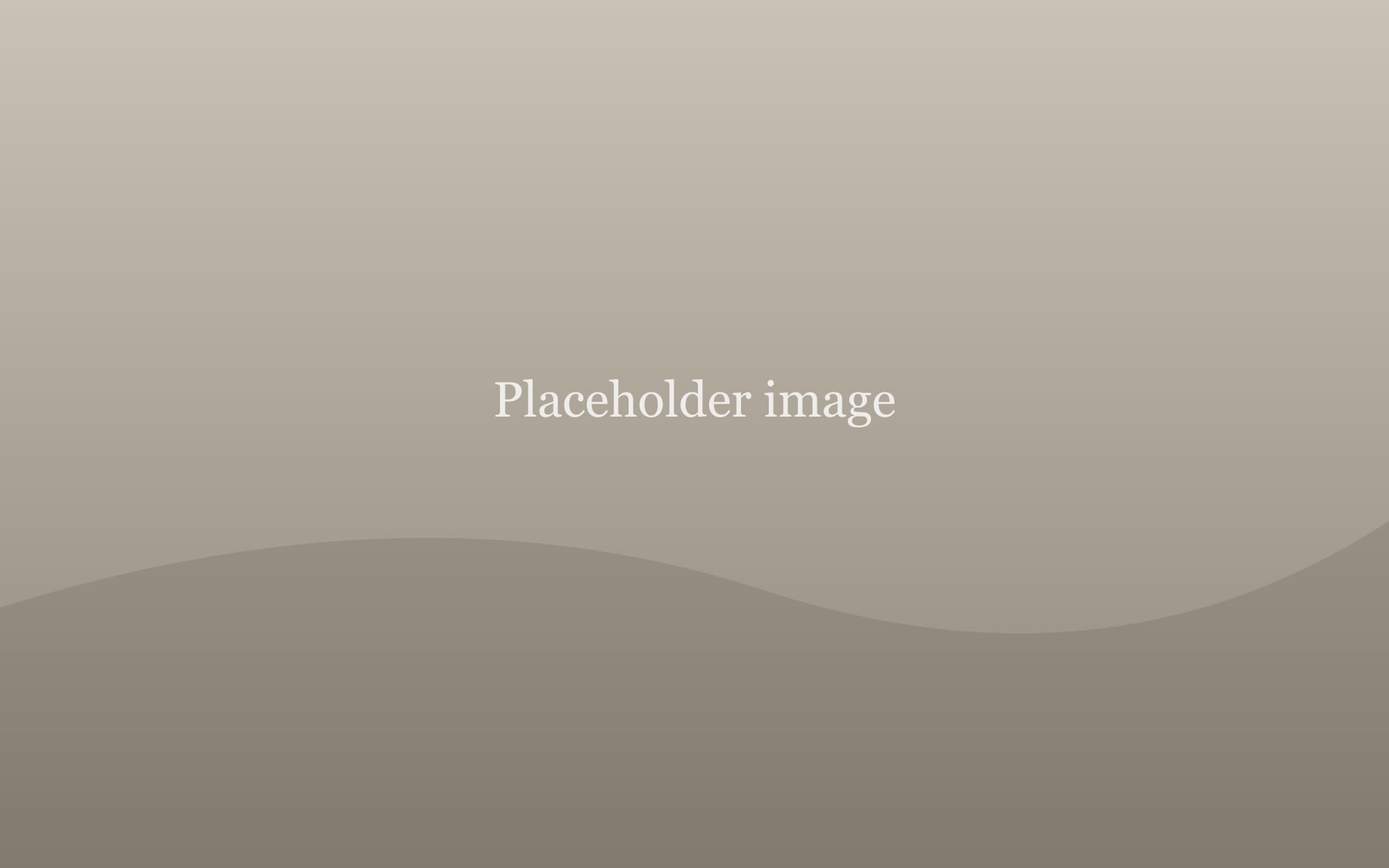 A placeholder landscape image in muted colours